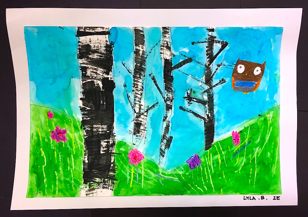 2nd Grade Art Lessons – Art With Mrs Filmore